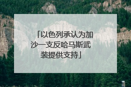 以色列承认为加沙一支反哈马斯武装提供支持