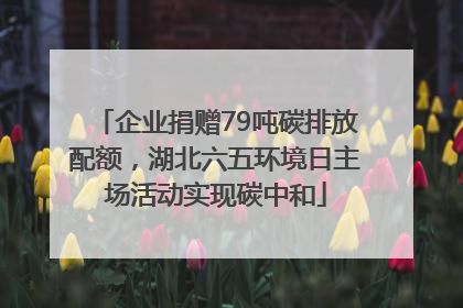 企业捐赠79吨碳排放配额，湖北六五环境日主场活动实现碳中和
