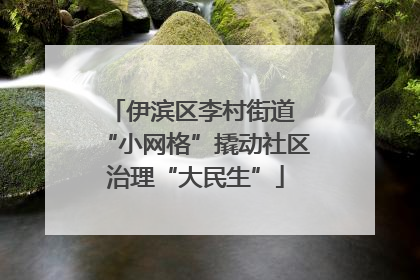 伊滨区李村街道 “小网格”撬动社区治理“大民生”