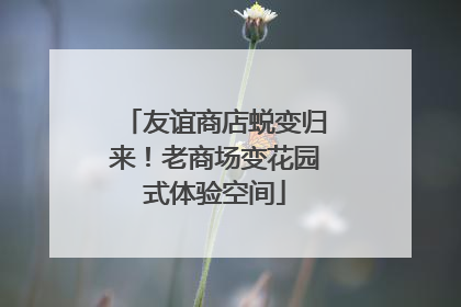 友谊商店蜕变归来！老商场变花园式体验空间