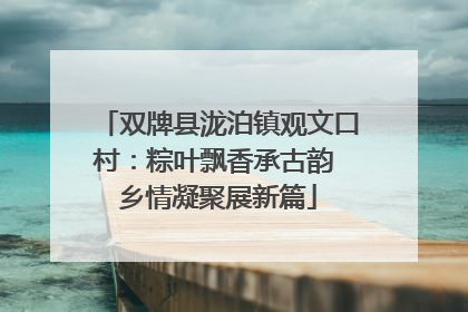 双牌县泷泊镇观文口村：粽叶飘香承古韵 乡情凝聚展新篇