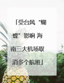 受台风“蝴蝶”影响 海南三大机场取消多个航班