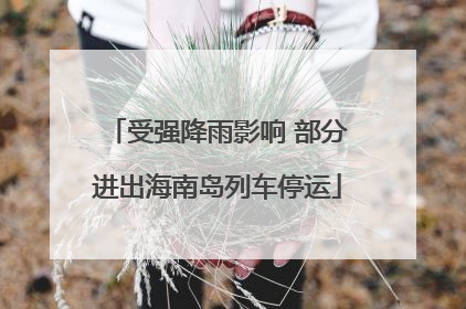 受强降雨影响 部分进出海南岛列车停运