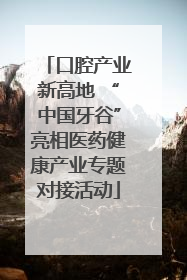 口腔产业新高地 “中国牙谷”亮相医药健康产业专题对接活动