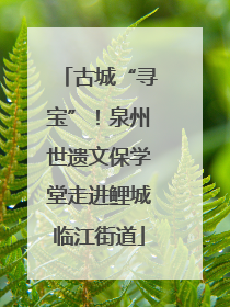 古城“寻宝”！泉州世遗文保学堂走进鲤城临江街道