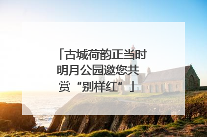古城荷韵正当时 明月公园邀您共赏“别样红”