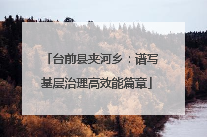 台前县夹河乡：谱写基层治理高效能篇章