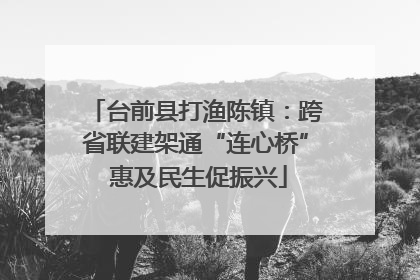 台前县打渔陈镇：跨省联建架通“连心桥” 惠及民生促振兴