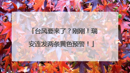 台风要来了？刚刚！瑞安连发两条黄色预警！