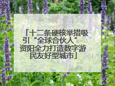 十二条硬核举措吸引“全球合伙人” 资阳全力打造数字游民友好型城市
