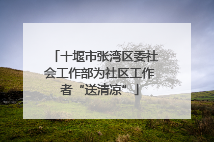 十堰市张湾区委社会工作部为社区工作者“送清凉”