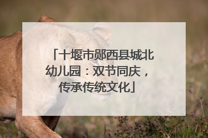 十堰市郧西县城北幼儿园：双节同庆，传承传统文化