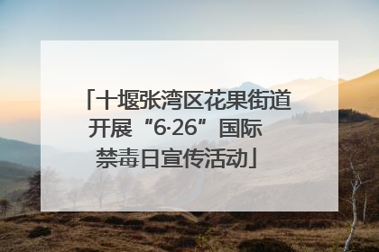 十堰张湾区花果街道开展“6·26”国际禁毒日宣传活动