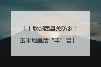 十堰郧西县关防乡：玉米地里话“丰”景