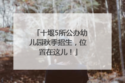 十堰5所公办幼儿园秋季招生，位置在这儿！