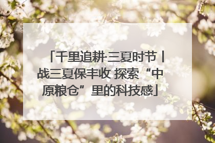 千里追耕·三夏时节丨战三夏保丰收 探索“中原粮仓”里的科技感