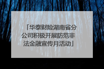 华泰财险湖南省分公司积极开展防范非法金融宣传月活动