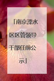南京溧水区区管领导干部任前公示