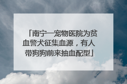 南宁一宠物医院为贫血警犬征集血源，有人带狗狗前来抽血配型