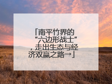 南平竹界的 “六边形战士”，走出生态与经济双赢之路→
