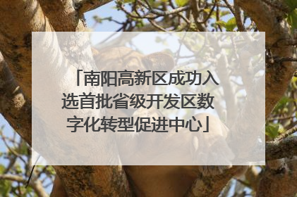 南阳高新区成功入选首批省级开发区数字化转型促进中心