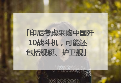 印尼考虑采购中国歼-10战斗机，可能还包括舰艇、护卫舰