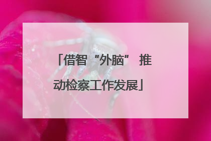 借智“外脑” 推动检察工作发展
