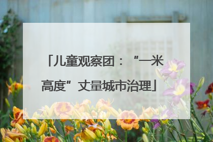 儿童观察团：“一米高度”丈量城市治理