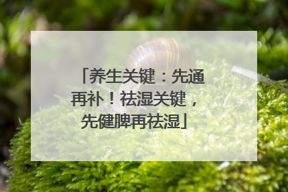 养生关键：先通再补！祛湿关键，先健脾再祛湿