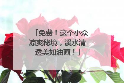 免费！这个小众凉爽秘境，溪水清透美如油画！