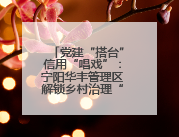党建“搭台”信用“唱戏”：宁阳华丰管理区解锁乡村治理“信用密码”