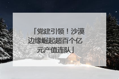 党建引领！沙漠边缘崛起超百个亿元产值连队