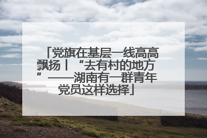 党旗在基层一线高高飘扬丨“去有村的地方”——湖南有一群青年党员这样选择