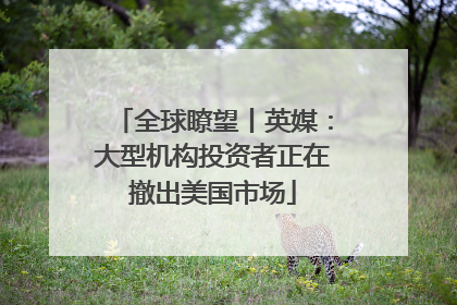 全球瞭望丨英媒：大型机构投资者正在撤出美国市场