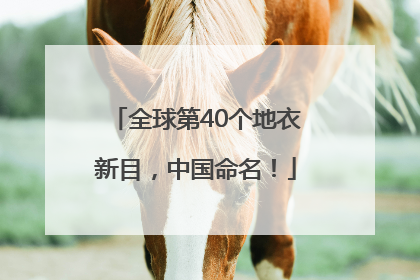 全球第40个地衣新目，中国命名！