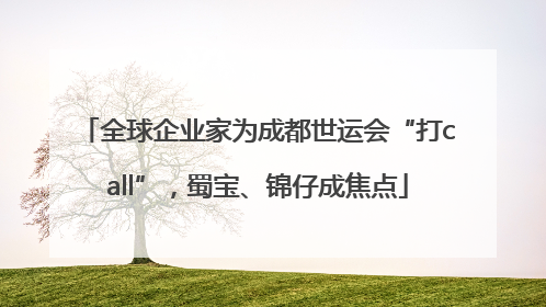 全球企业家为成都世运会“打call”，蜀宝、锦仔成焦点