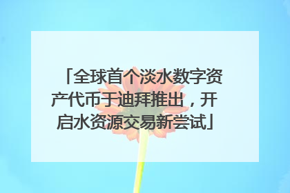 全球首个淡水数字资产代币于迪拜推出，开启水资源交易新尝试