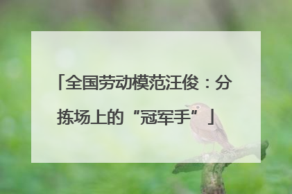 全国劳动模范汪俊：分拣场上的“冠军手”
