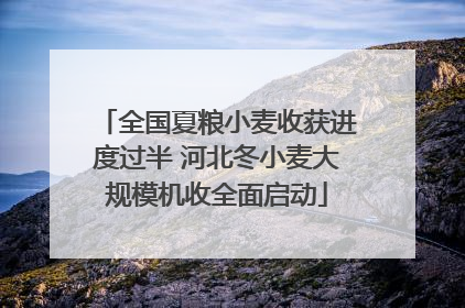全国夏粮小麦收获进度过半 河北冬小麦大规模机收全面启动