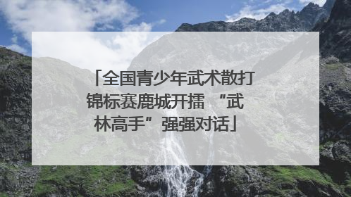 全国青少年武术散打锦标赛鹿城开擂 “武林高手”强强对话