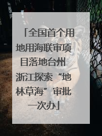 全国首个用地用海联审项目落地台州 浙江探索“地林草海”审批一次办