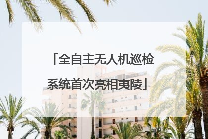 全自主无人机巡检系统首次亮相夷陵