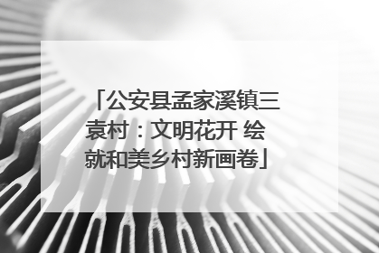公安县孟家溪镇三袁村：文明花开 绘就和美乡村新画卷
