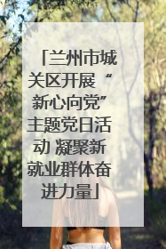 兰州市城关区开展“新心向党”主题党日活动 凝聚新就业群体奋进力量