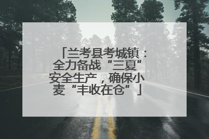 兰考县考城镇：全力备战“三夏”安全生产，确保小麦“丰收在仓”