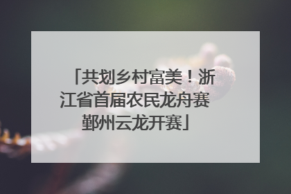 共划乡村富美！浙江省首届农民龙舟赛鄞州云龙开赛
