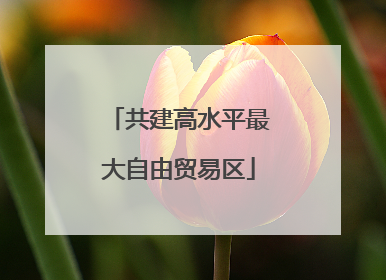 共建高水平最大自由贸易区