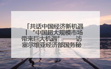 共话中国经济新机遇丨“中国超大规模市场带来巨大机遇”——访塞尔维亚经济部国务秘书尼科利奇