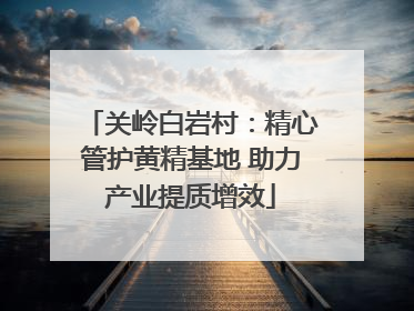 关岭白岩村：精心管护黄精基地 助力产业提质增效