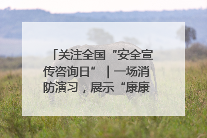 关注全国“安全宣传咨询日”｜一场消防演习，展示“康康”应急实力